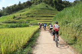 Gorgeous Tour of Bikes and Hikes in Northern Vietnam 14 Days